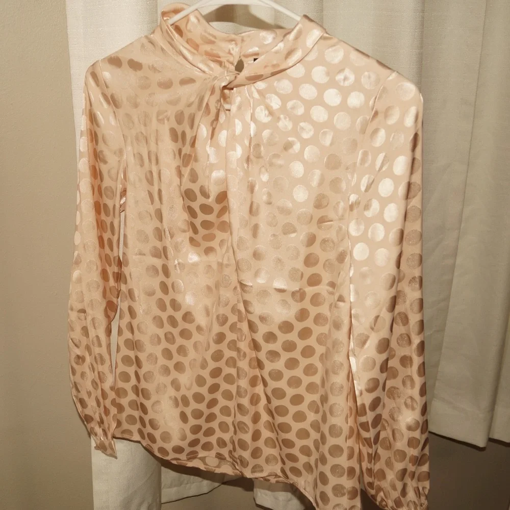 Ann Taylor Champagne Satin Polka Dot Blouse XXS